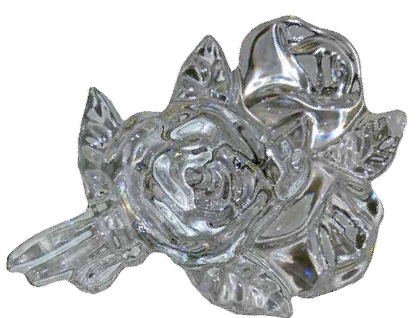 Rosa a parete